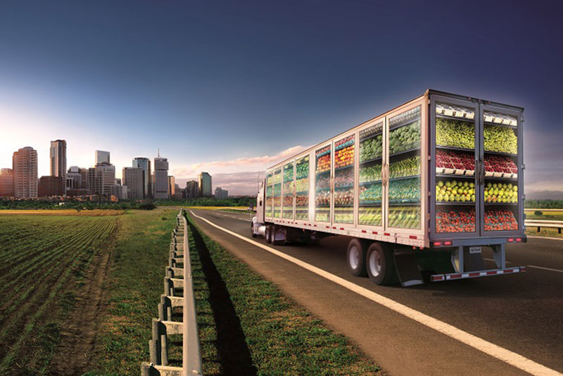 Other - Perishable Transportation 易腐运输
